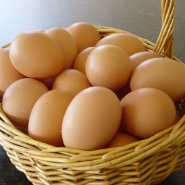 Sungold eggs in a basket