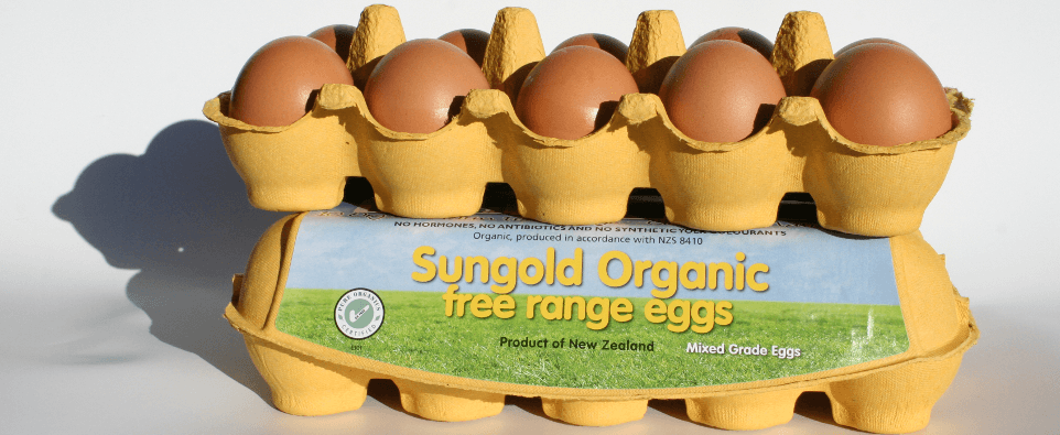 Sungold staff with eggs and hens