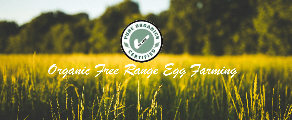 Sungold is certified organic